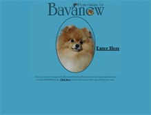 Tablet Screenshot of bavanew.com